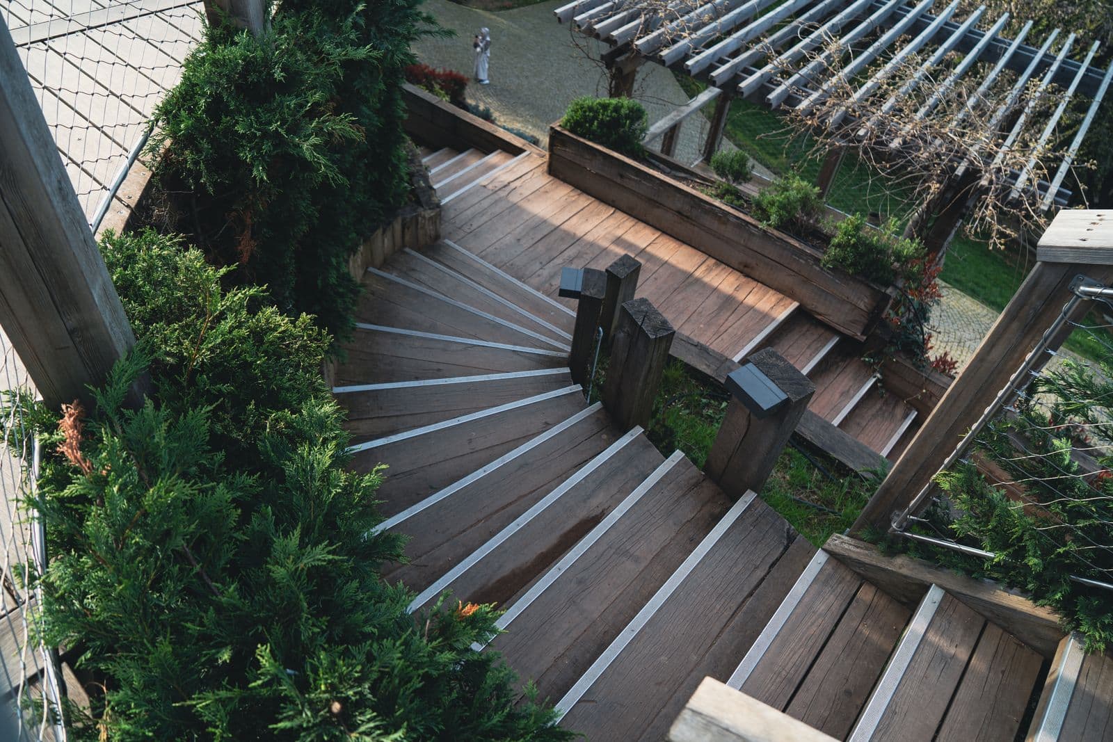 Wooden deck stairs seen from above, edged with plants